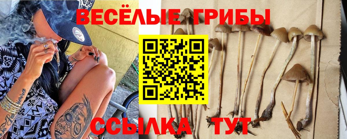 Галлюциногенные грибы мицелий Лысьва