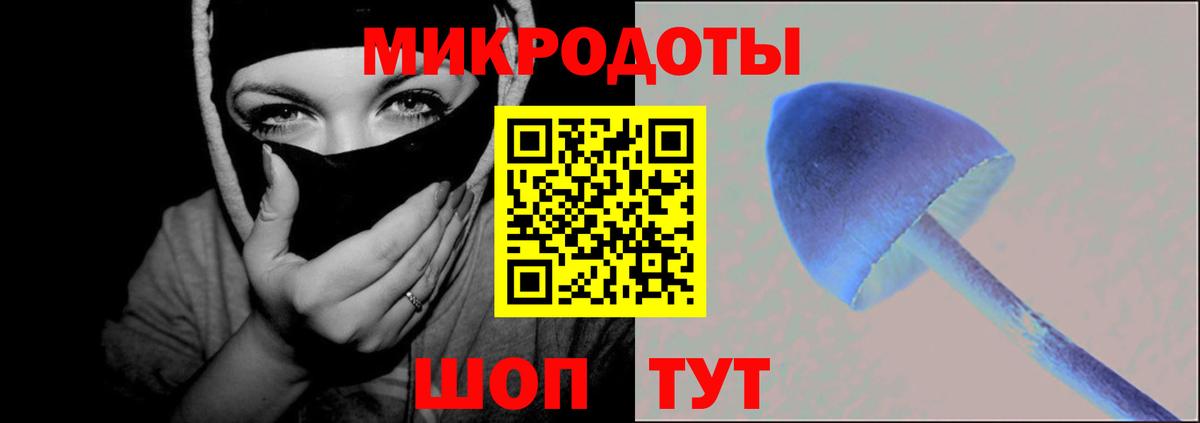 Лысьва  Псилоцибиновые грибы Cubensis  Вход с VPN 